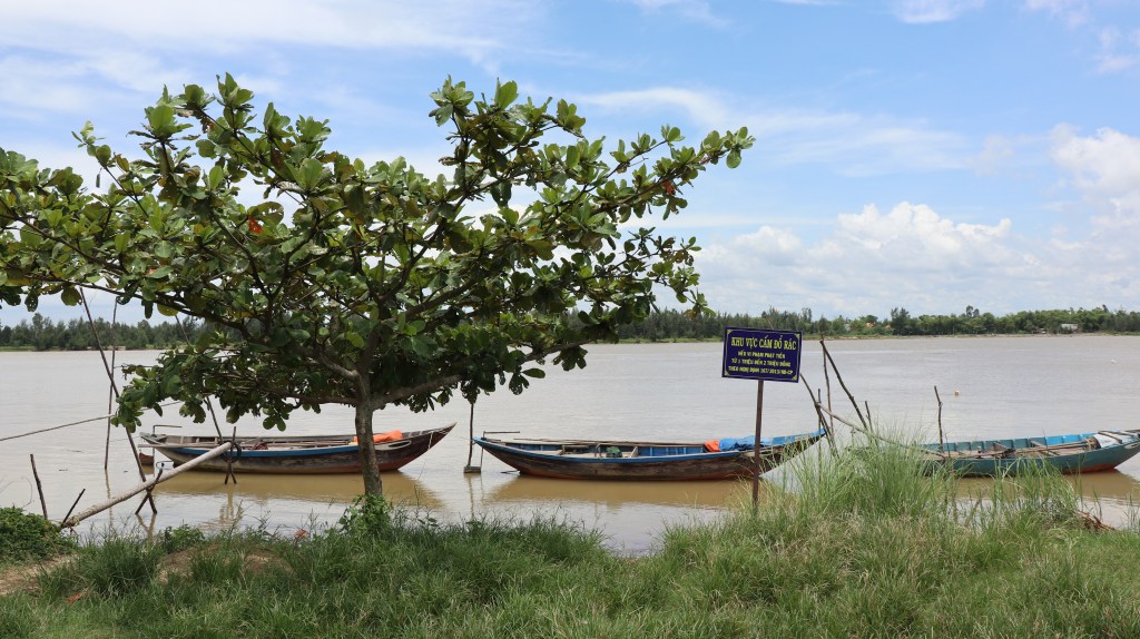 Island Life: Day&nbsp;5