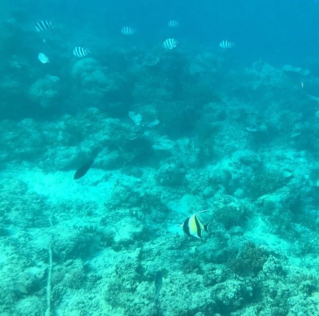 Third Time Lucky, Twice Over: Day&nbsp;25