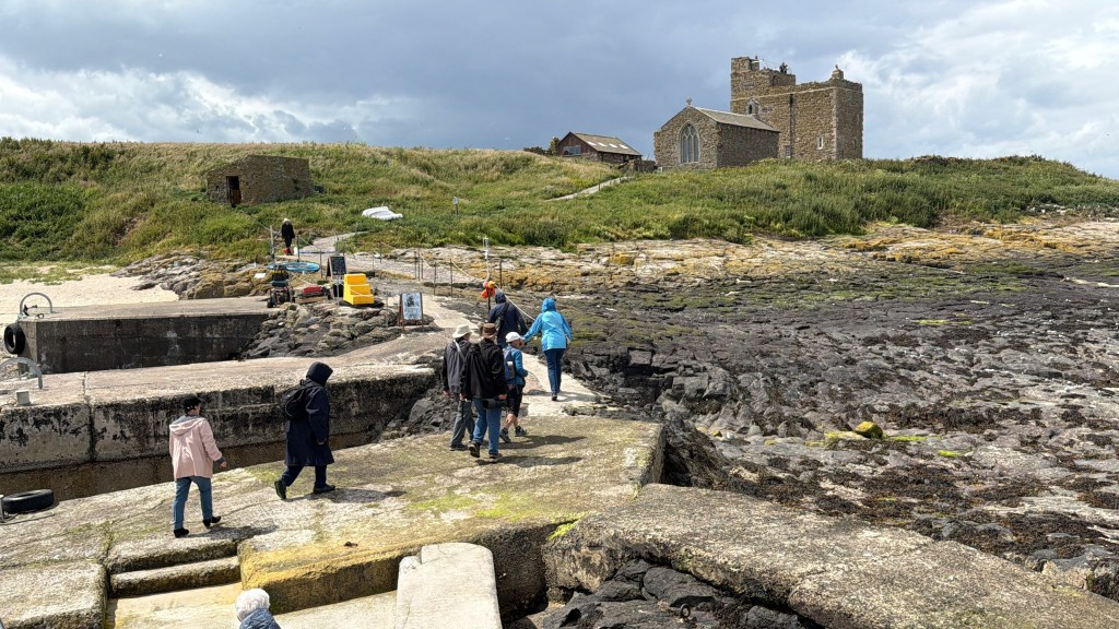 Visitors exploring Inner Farne surrounded by nesting seabirds